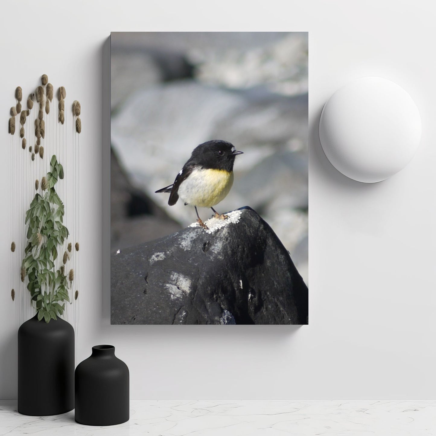 Portrait of Tomtit; Photo on Canvas