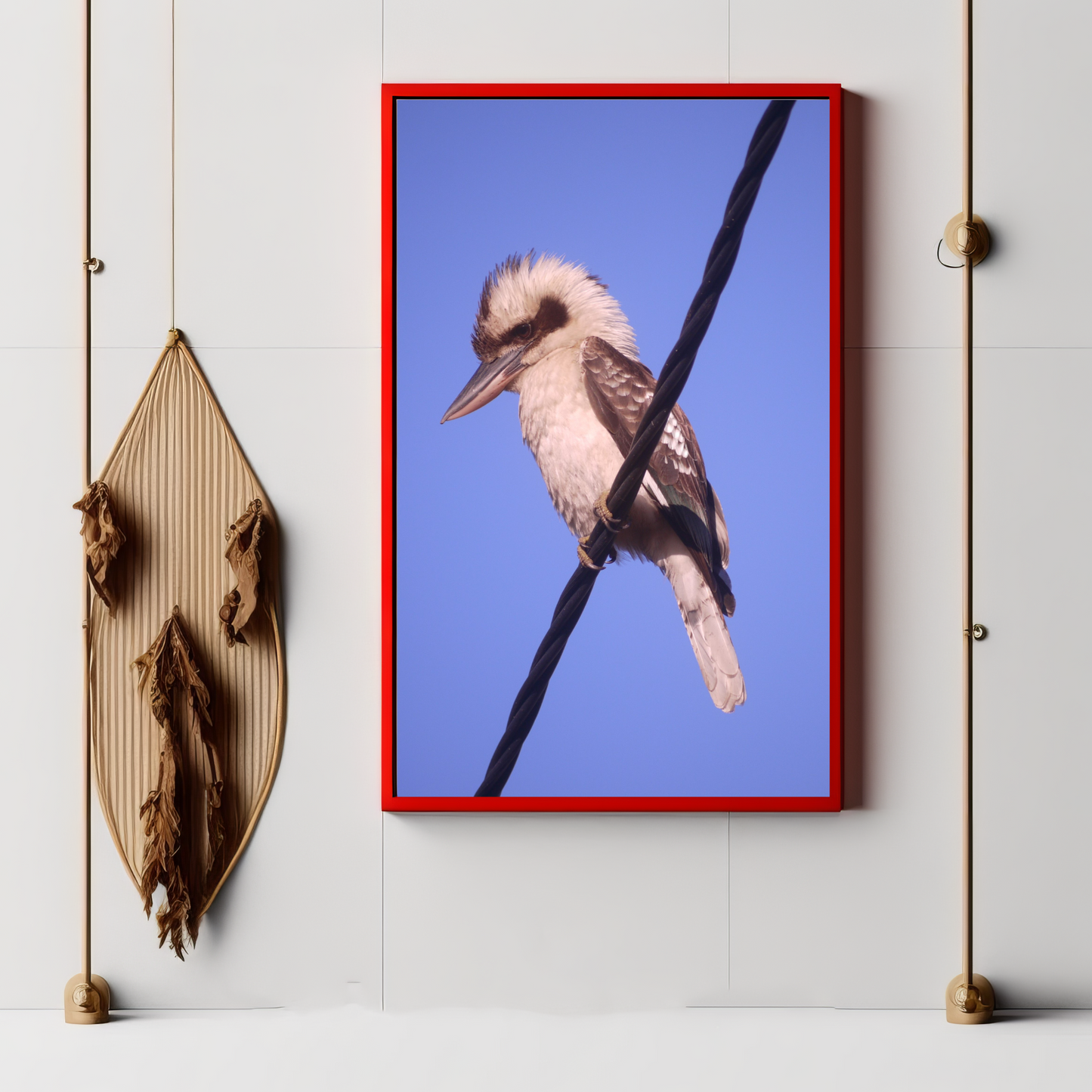 Kookaburra Portrait Photo on Poster