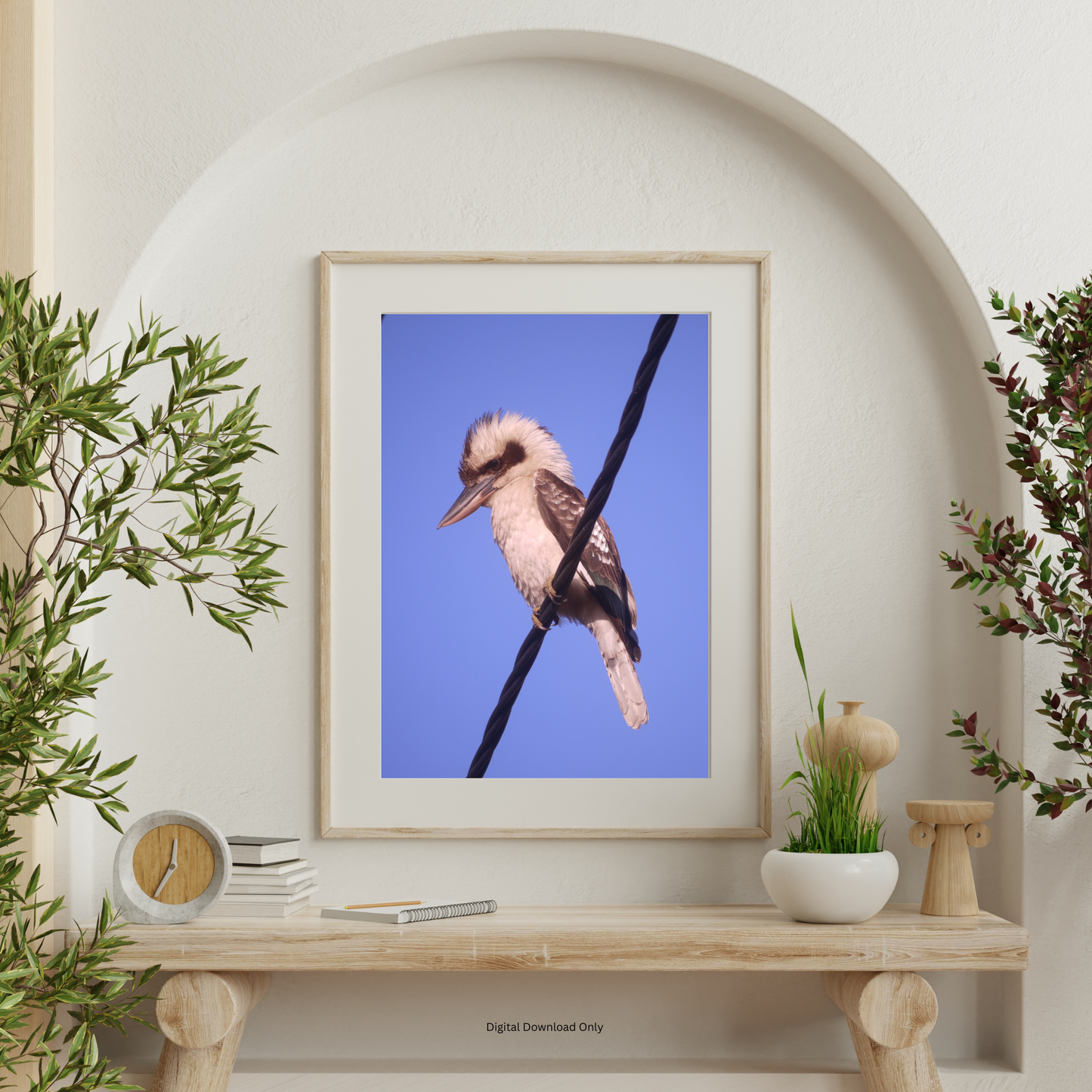 Kookaburra Portrait Photo on Poster