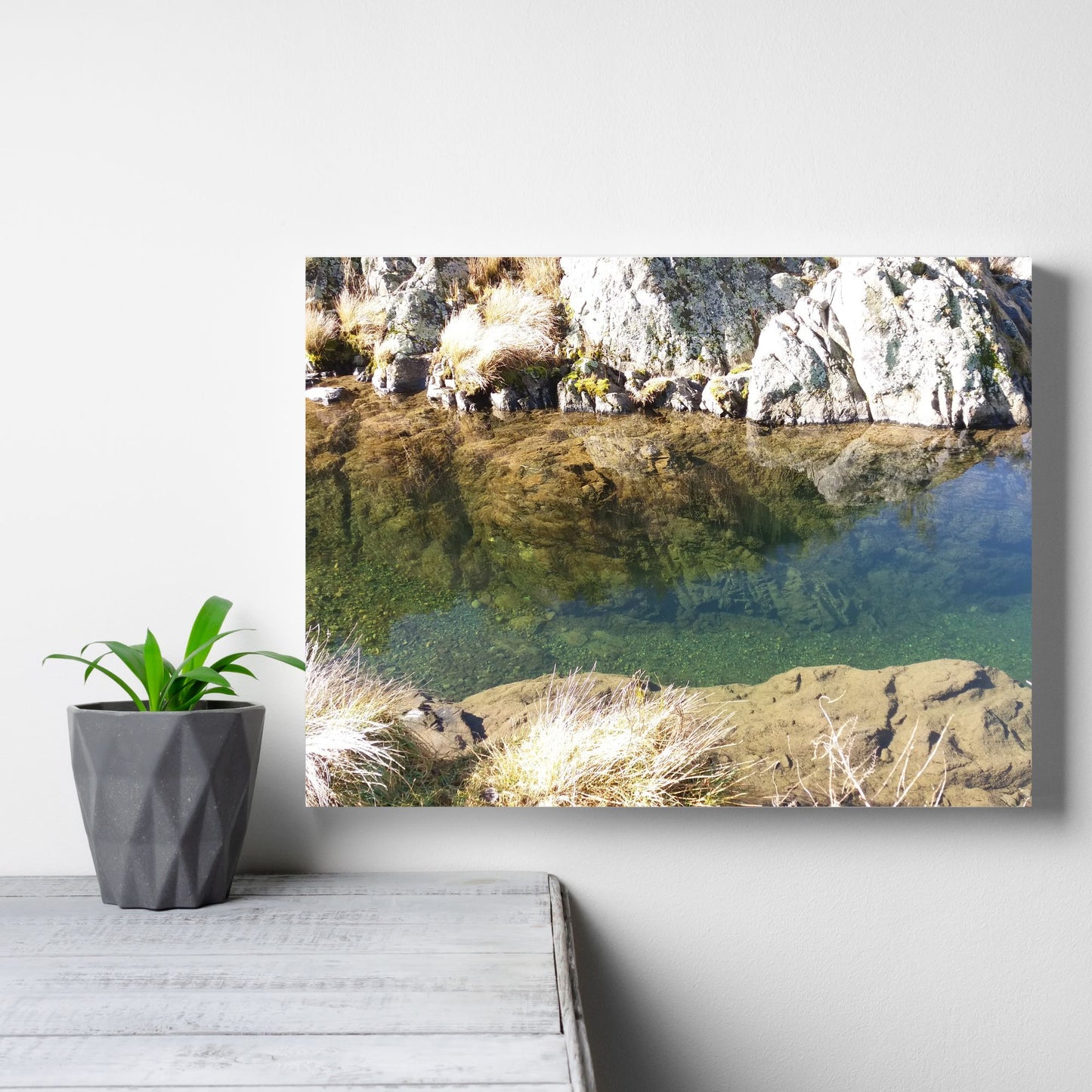 Waihi Gorge Photo on Canvas,