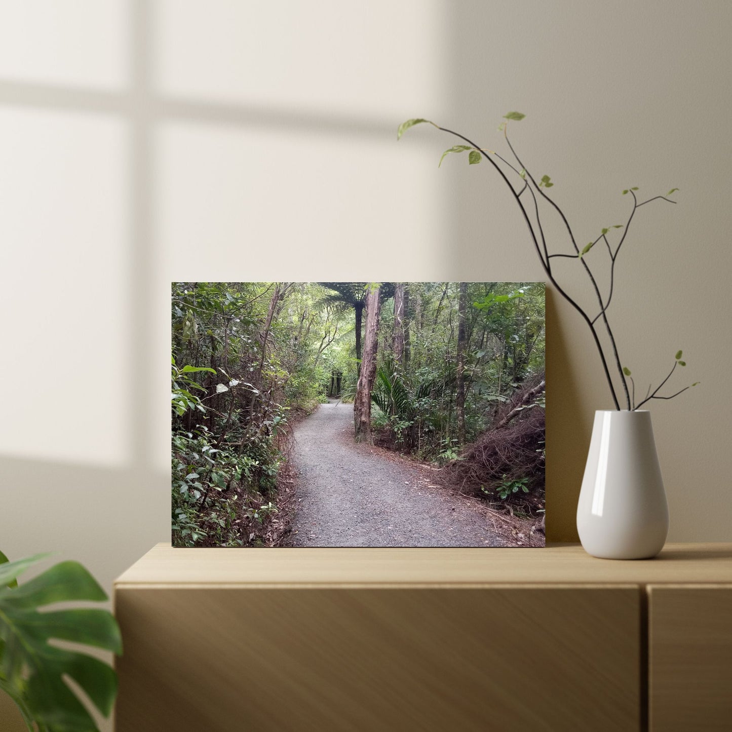 Wentworth Forest Walk Photo On Canvas