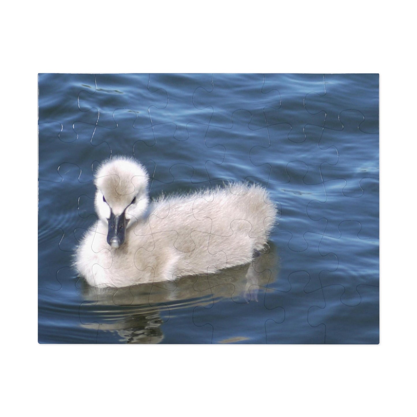 No Ugly Duckling: Baby Swan Children's Jigsaw Puzzle (30-Piece).