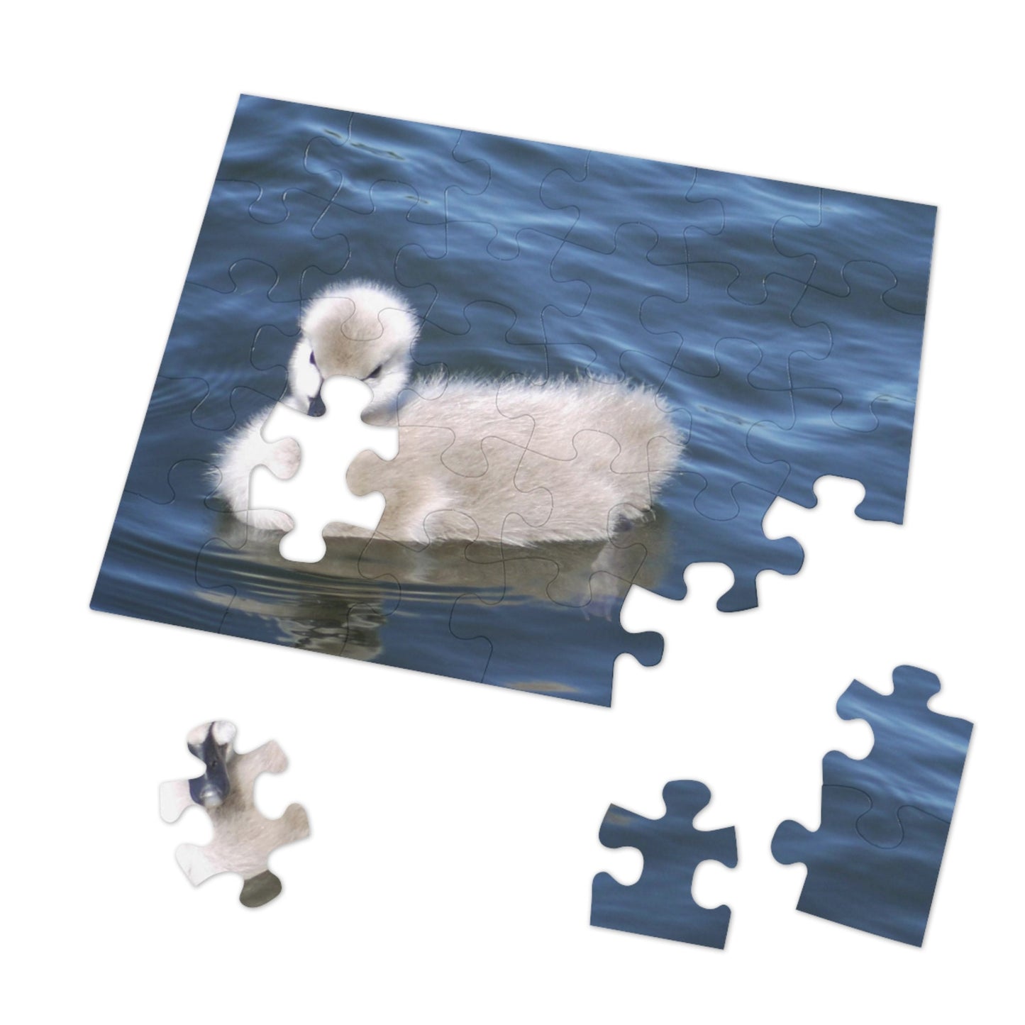 No Ugly Duckling: Baby Swan Children's Jigsaw Puzzle (30-Piece).